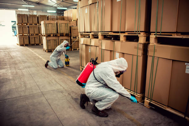 Best Best Pest Control Companies  in Rome, NY