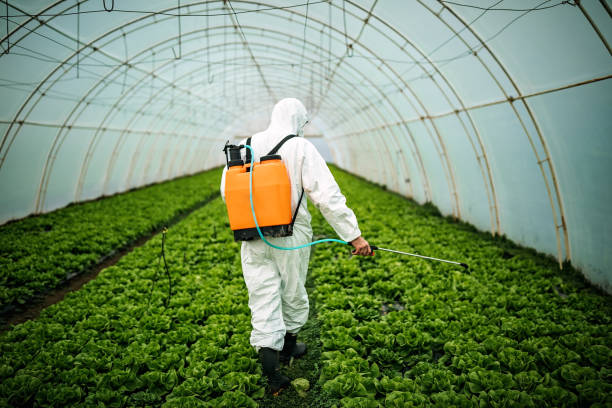 Best Residential Pest Control  in Rome, NY