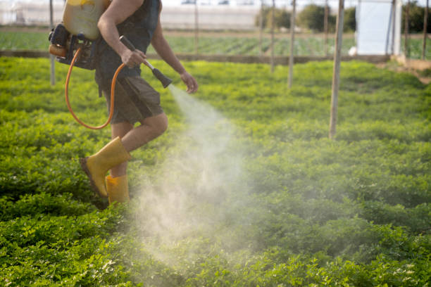 Best Local Pest Control Services  in Rome, NY