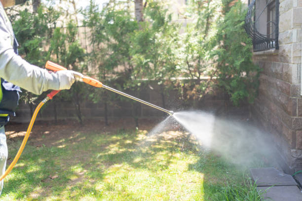 Reliable Rome, NY Pest Control Solutions