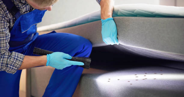 Best Pest Control Near Me  in Rome, NY