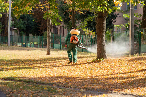 Best Pest Control for Homes  in Rome, NY